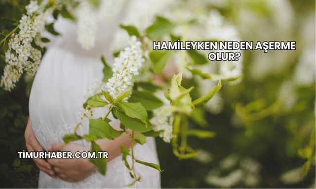 Hamileyken Neden Aşerme Olur?