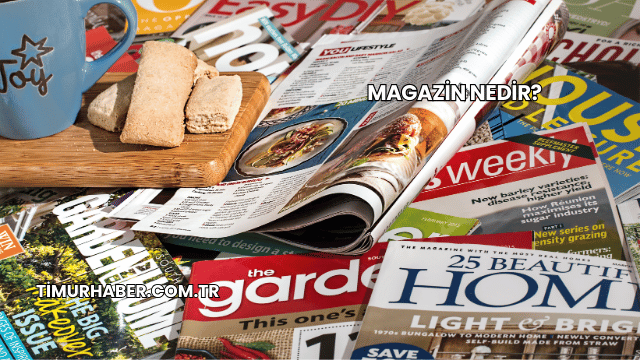 Magazin Nedir?