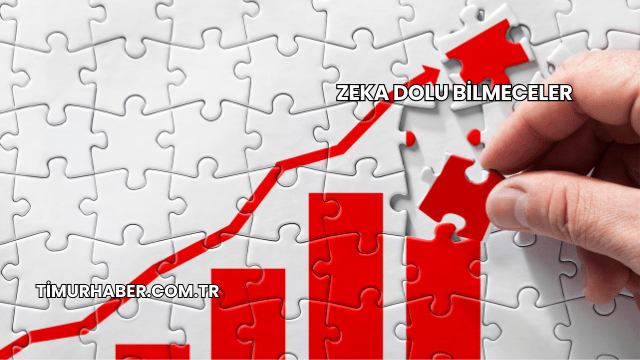 Zeka Dolu Bilmeceler