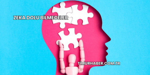 Zeka Dolu Bilmeceler