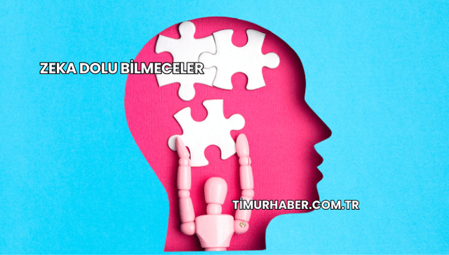 Zeka Dolu Bilmeceler