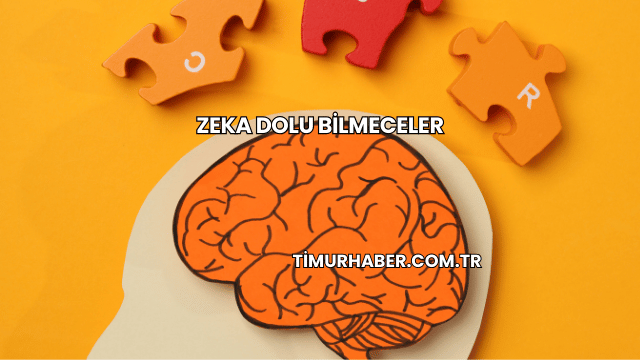 Zeka Dolu Bilmeceler