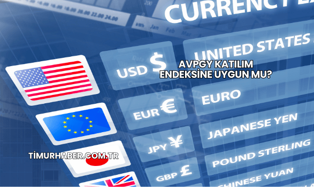 AVPGY Katılım Endeksine Uygun mu?