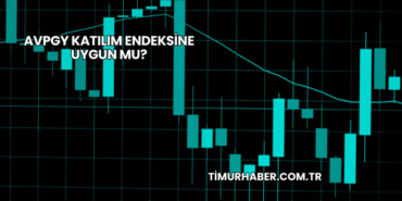 AVPGY Katılım Endeksine Uygun mu?