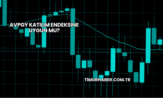 AVPGY Katılım Endeksine Uygun mu?
