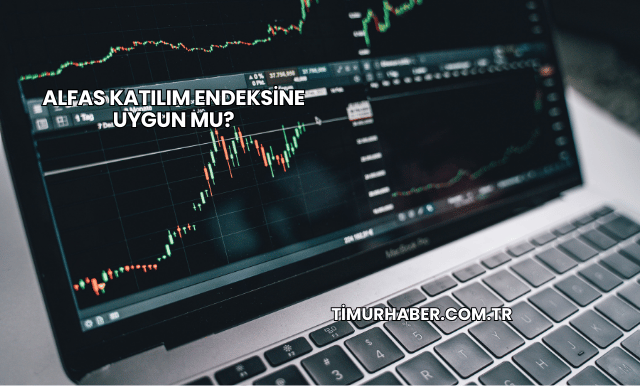 Alfas Katılım Endeksine Uygun mu?
