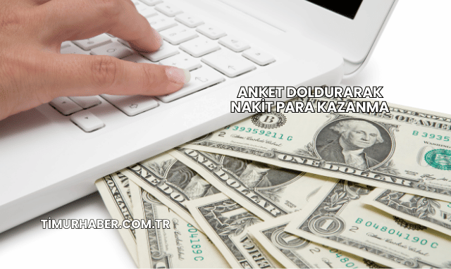Anket Doldurarak Nakit Para Kazanma