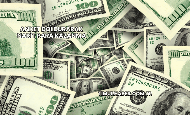 Anket Doldurarak Nakit Para Kazanma