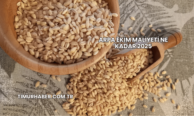 Arpa Ekim Maliyeti Ne Kadar 2025