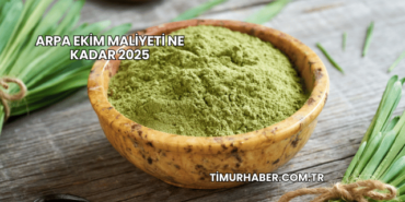 Arpa Ekim Maliyeti Ne Kadar 2025