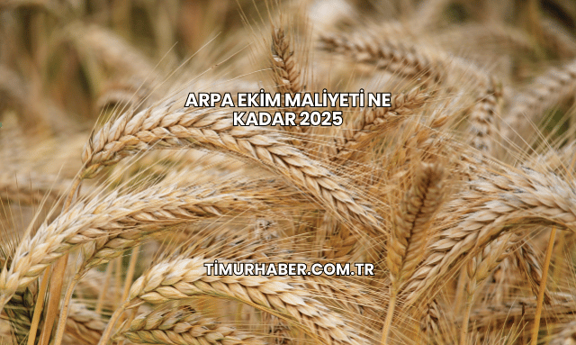 Arpa Ekim Maliyeti Ne Kadar 2025