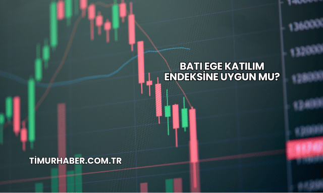 Batı Ege Katılım Endeksine Uygun mu?