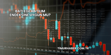 Batı Ege Katılım Endeksine Uygun mu?