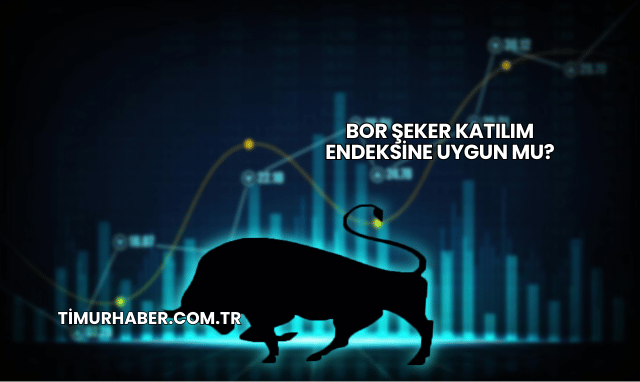 Bor Şeker Katılım Endeksine Uygun mu?