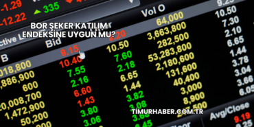 Bor Şeker Katılım Endeksine Uygun mu?