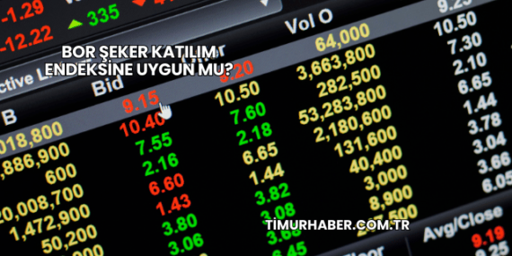 Bor Şeker Katılım Endeksine Uygun mu?
