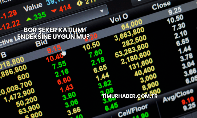 Bor Şeker Katılım Endeksine Uygun mu?