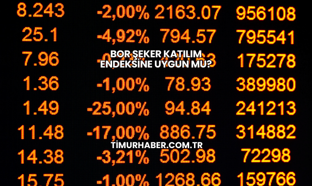 Bor Şeker Katılım Endeksine Uygun mu?