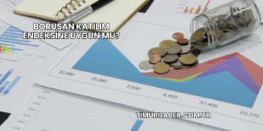 Borusan Katılım Endeksine Uygun mu?