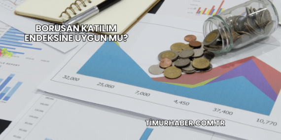 Borusan Katılım Endeksine Uygun mu?