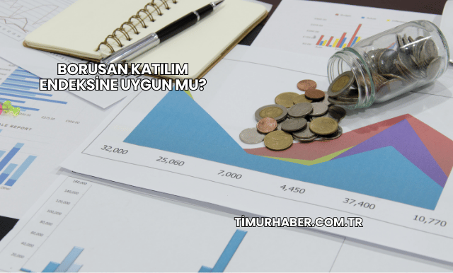 Borusan Katılım Endeksine Uygun mu?