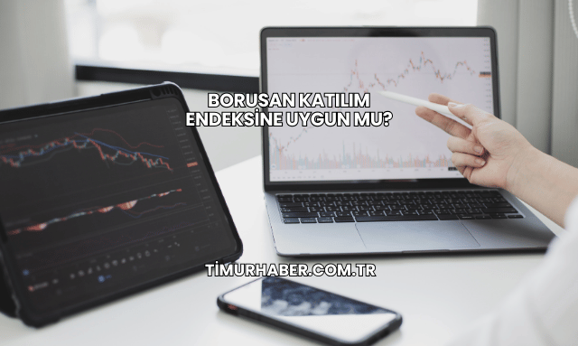 Borusan Katılım Endeksine Uygun mu?