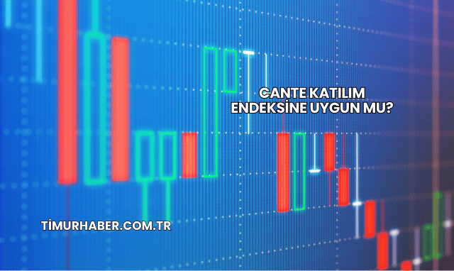 CANTE Katılım Endeksine Uygun mu?
