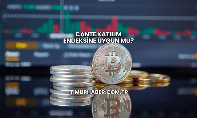 CANTE Katılım Endeksine Uygun mu?