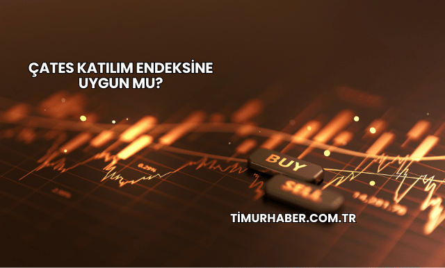 ÇATES Katılım Endeksine Uygun mu?