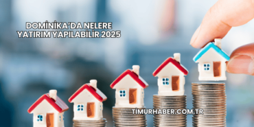 Dominika’da Nelere Yatırım Yapılabilir 2025