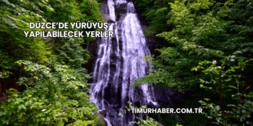 Düzce’de Yürüyüş Yapılabilecek Yerler