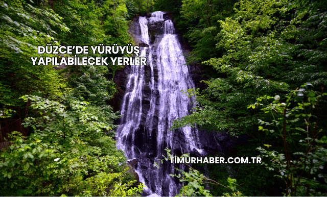 Düzce’de Yürüyüş Yapılabilecek Yerler