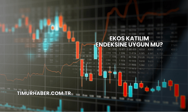 Ekos Katılım Endeksine Uygun mu?