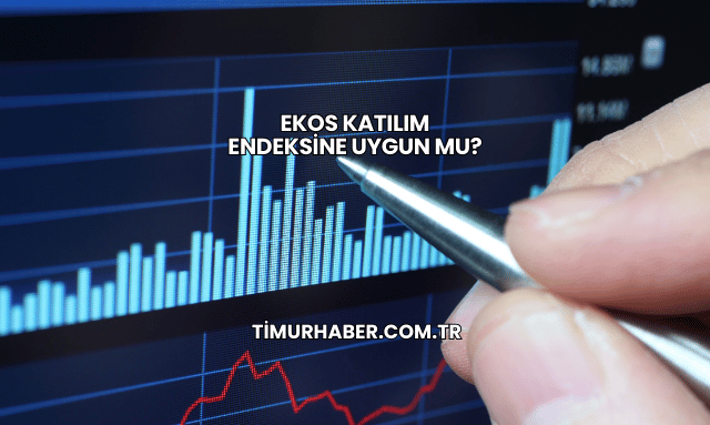Ekos Katılım Endeksine Uygun mu?