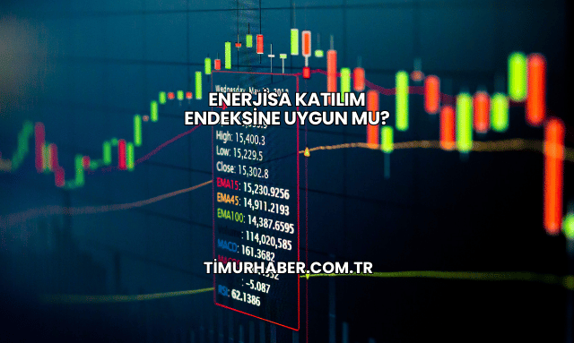 Enerjisa Katılım Endeksine Uygun mu?