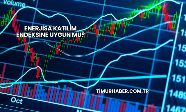 Enerjisa Katılım Endeksine Uygun mu?