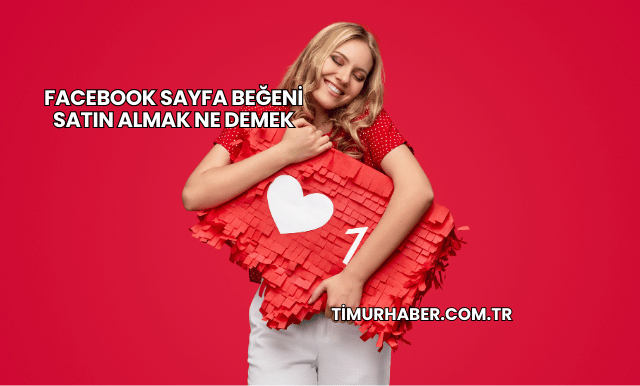 Facebook Sayfa Beğeni Satın Almak Ne Demek