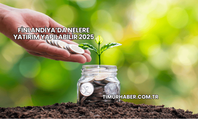 Finlandiya’da Nelere Yatırım Yapılabilir 2025