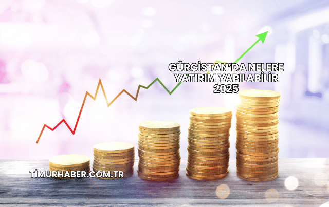 Gürcistan’da Nelere Yatırım Yapılabilir 2025