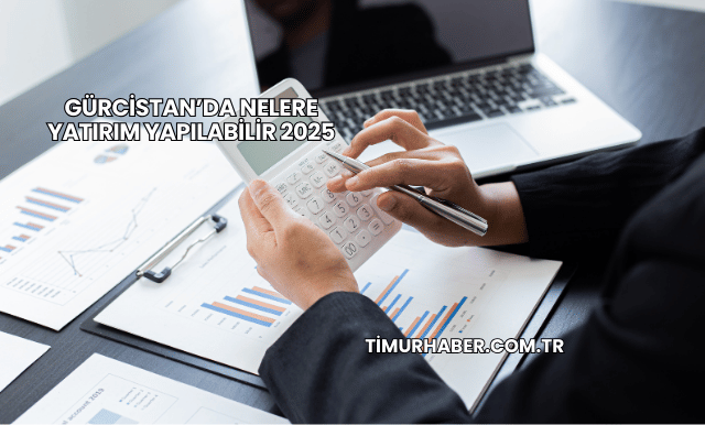 Gürcistan’da Nelere Yatırım Yapılabilir 2025