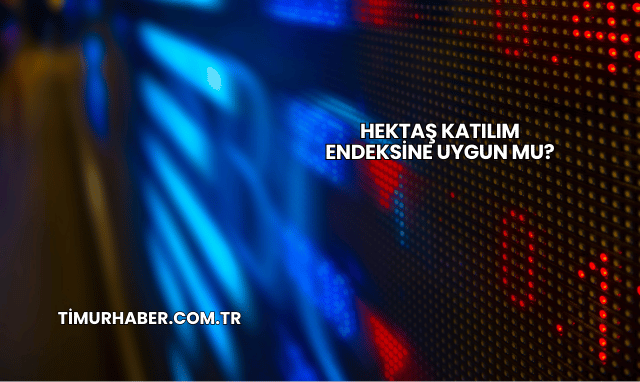 Hektaş Katılım Endeksine Uygun mu?