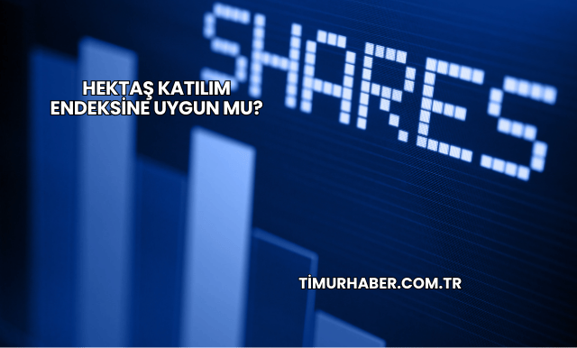 Hektaş Katılım Endeksine Uygun mu?