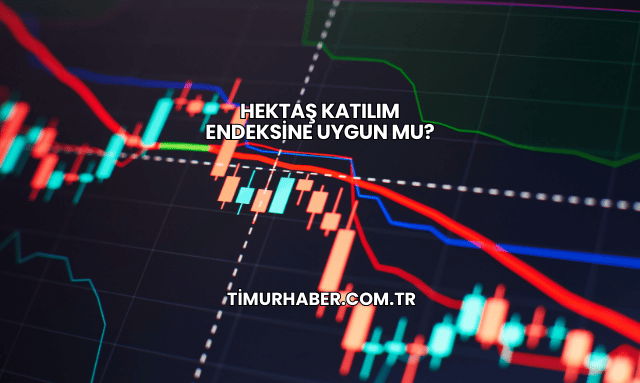 Hektaş Katılım Endeksine Uygun mu?
