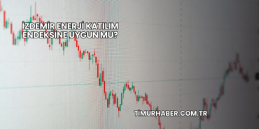 İZDEMİR Enerji Katılım Endeksine Uygun mu?