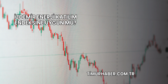 İZDEMİR Enerji Katılım Endeksine Uygun mu?