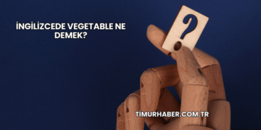 İngilizcede Vegetable Ne Demek?