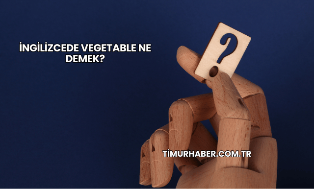 İngilizcede Vegetable Ne Demek?