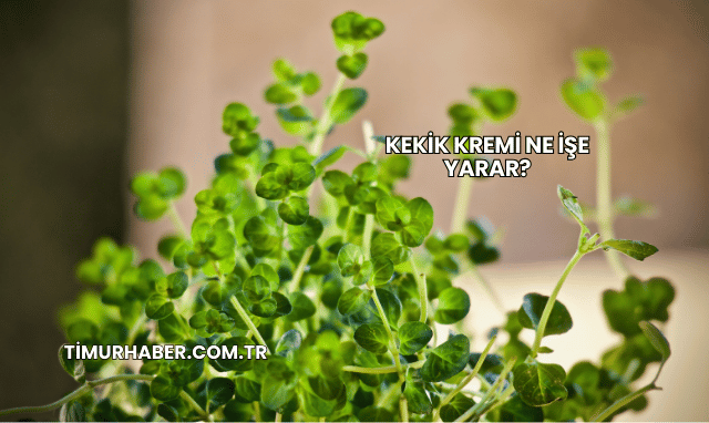 Kekik Kremi Ne İşe Yarar?