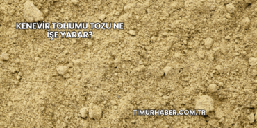 Kenevir Tohumu Tozu Ne İşe Yarar?