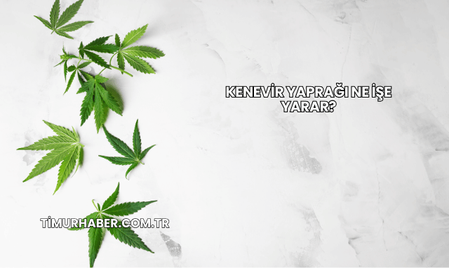 Kenevir Yaprağı Ne İşe Yarar?